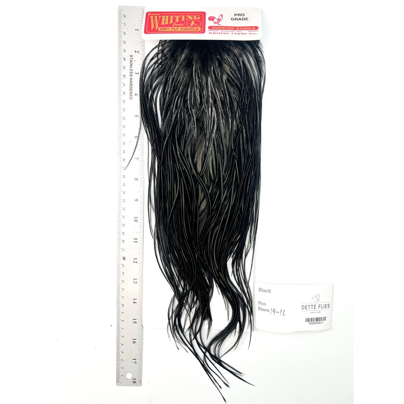 Black – Whiting Line Rooster Saddle – Pro Grade (#3)