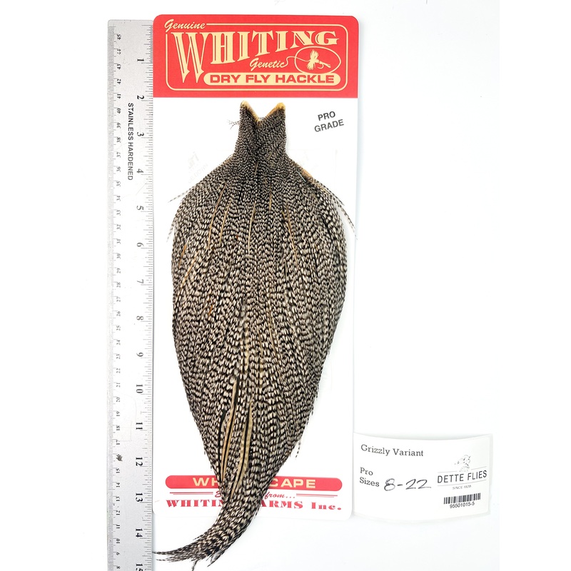 Grizzly Variant – Whiting Line Rooster Cape – Pro Grade (#5)