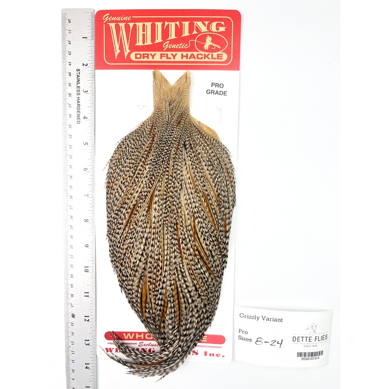 Grizzly Variant – Whiting Line Rooster Cape – Pro Grade (#6)