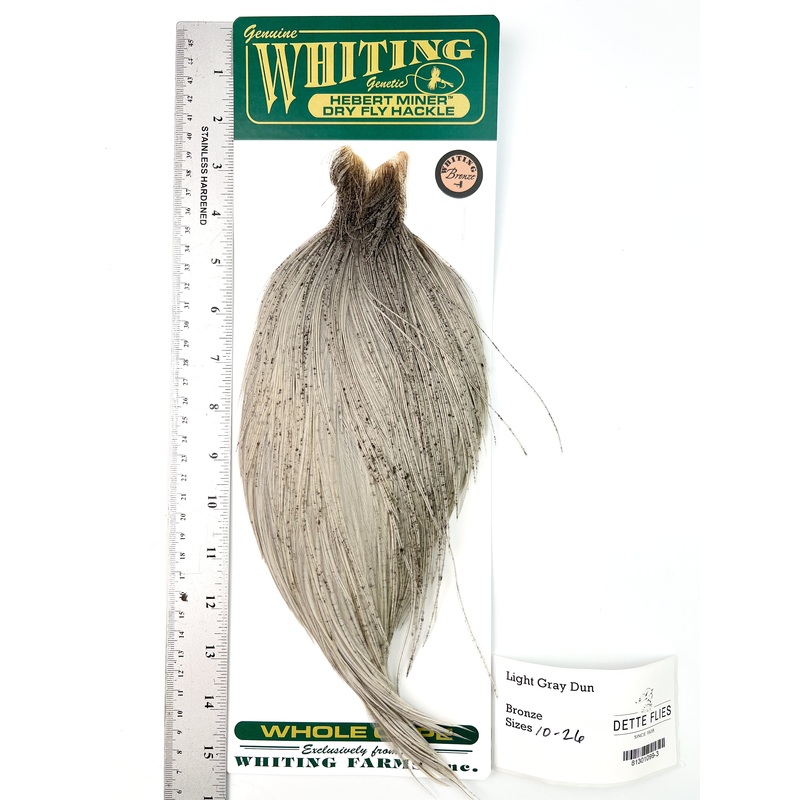 Light Gray Dun – Whiting Hebert Rooster Cape | Bronze Grade (#3)