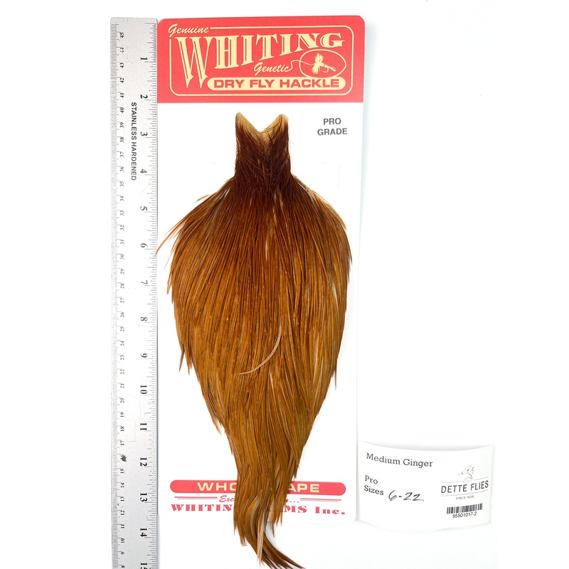Medium Ginger – Whiting Line Rooster Cape – Pro Grade (#2)