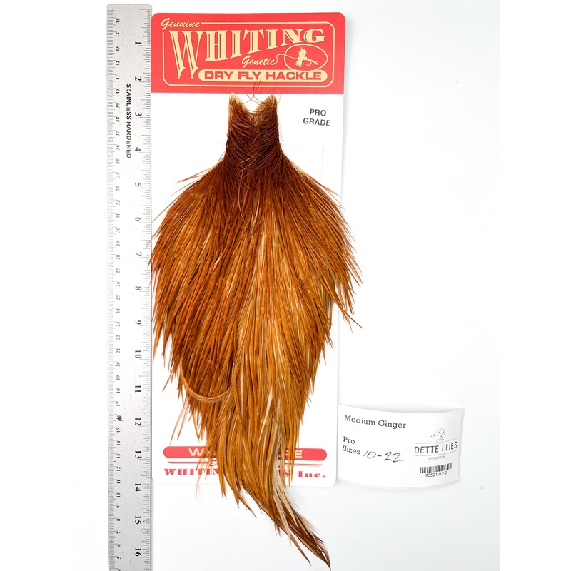 Medium Ginger – Whiting Line Rooster Cape – Pro Grade (#3)