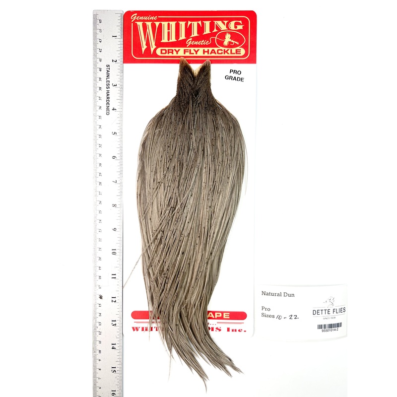 Natural Dun – Whiting Line Rooster Cape – Pro Grade (#2)
