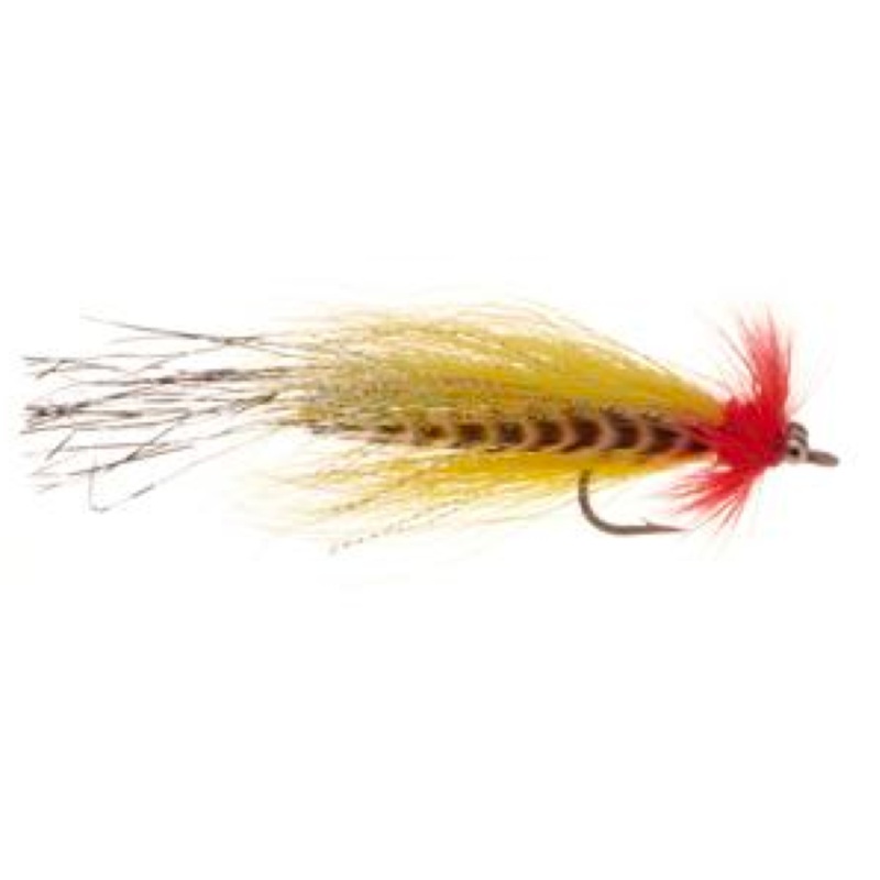 Flashtail Whistler|Red/White|Red/Yellow|Orange/Yellow||3/0