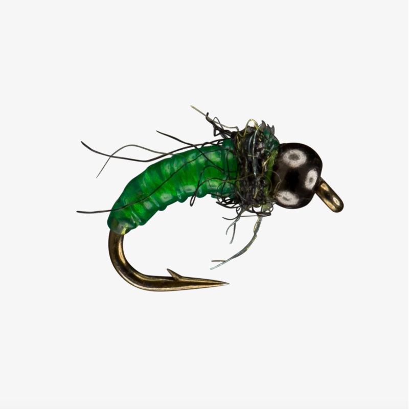 Free Living Larva|Green||14||16