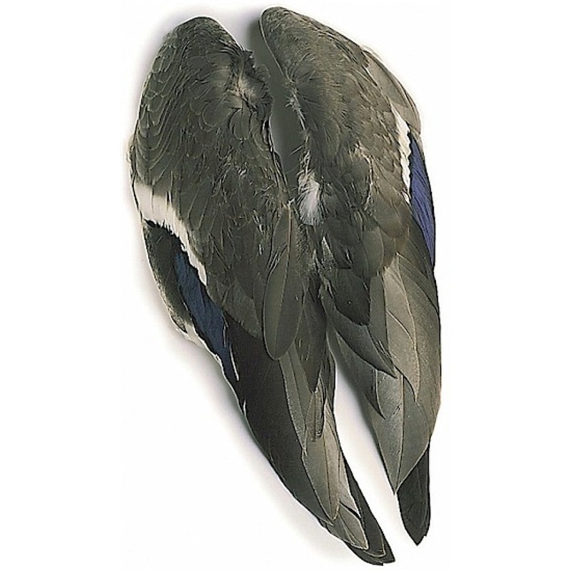Mallard Duck Wings|Natural (Pair) (DQW 199)
