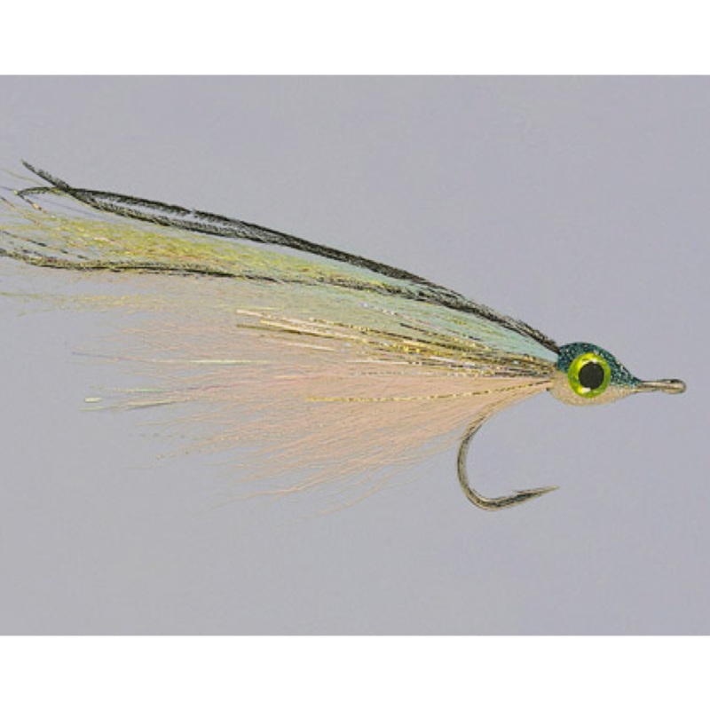 Rainy’s Robrahn’s Bluewater Sardina Fly