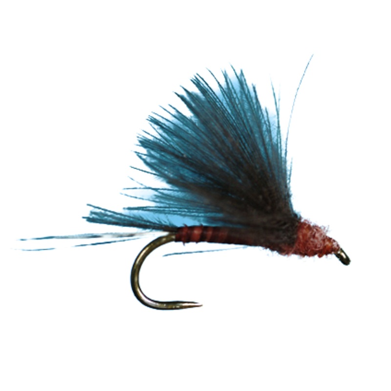 HARROP’S CDC BIOT|Dun Mahogany||16||18||20