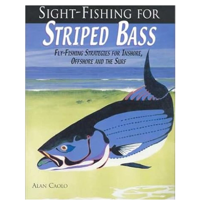 Sight Fishing For Striped Bass, Alan Caolo