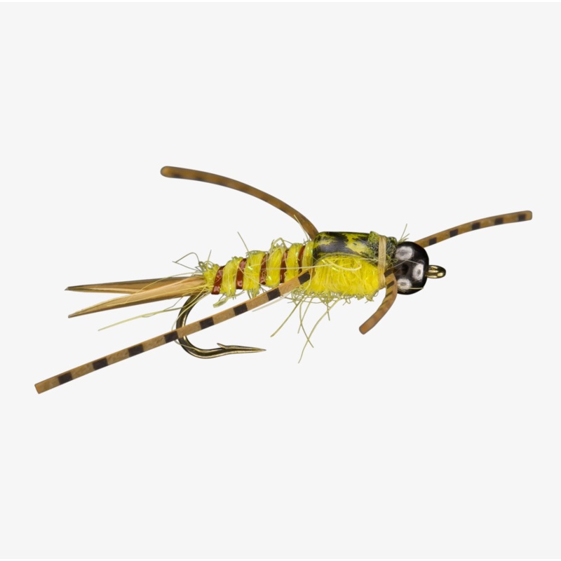 Yellow Sally Nymph||14||16