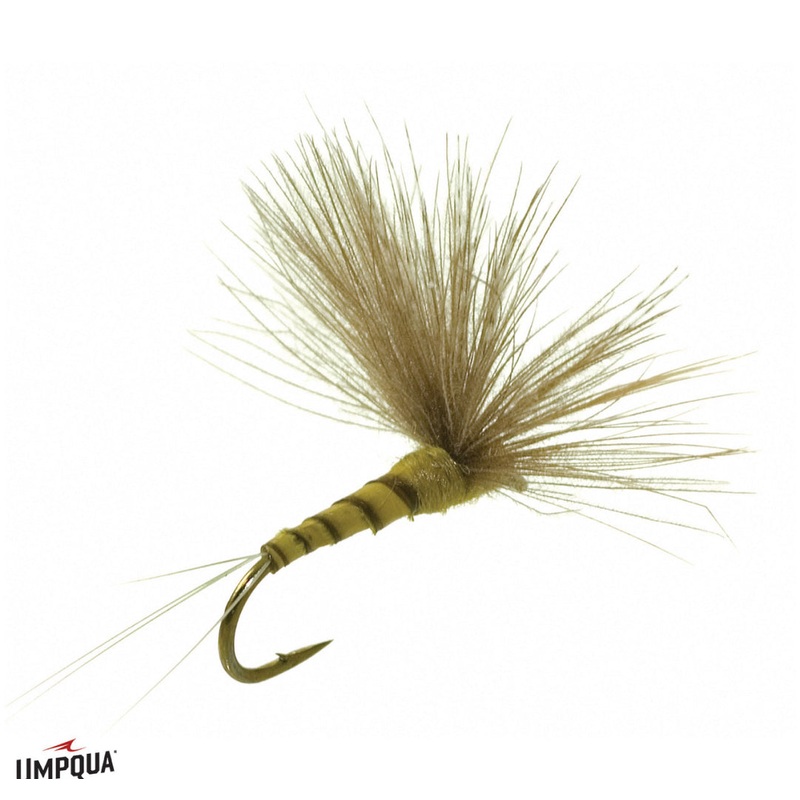 CDC Biot Comparadun|BWO||18||20