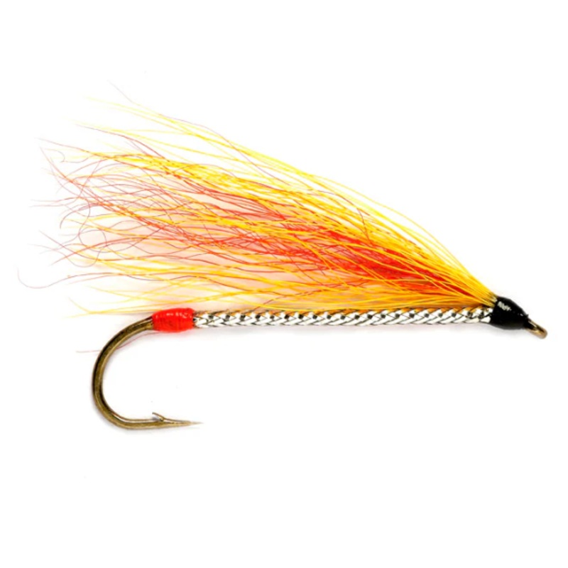 Mickey Finn||6||8||10