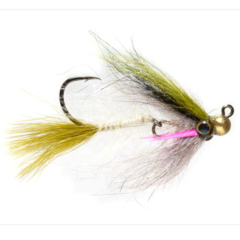 Phillips’ Rainbow Yummy||6