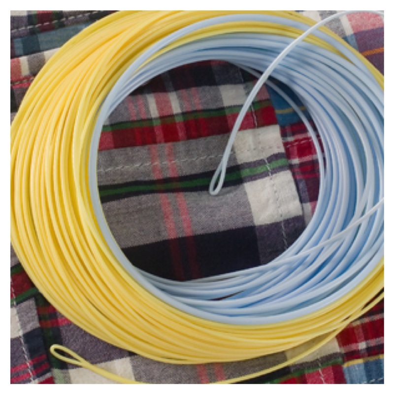 Wulff Bermuda Shorts Triangle Taper Fly Line