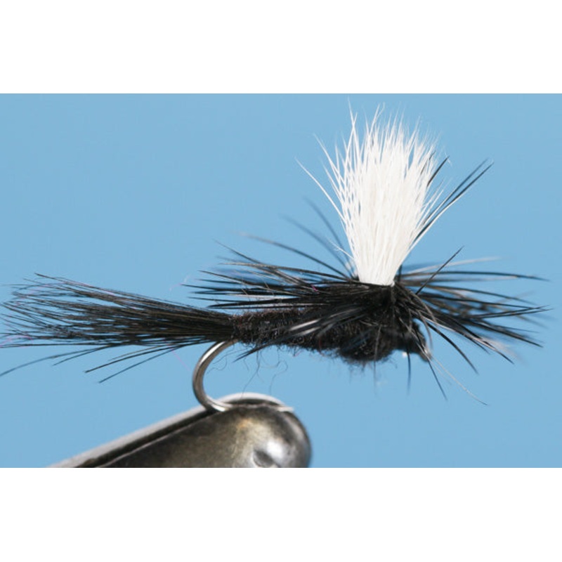 Barbless Parachute Black Gnat|14