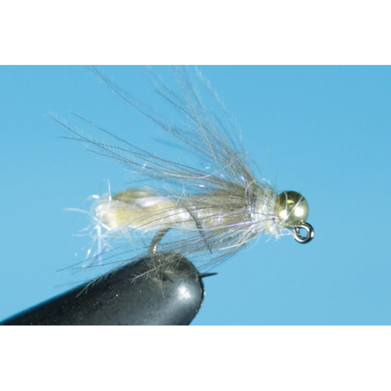 Crypto Caddis – Tungsten|14|12