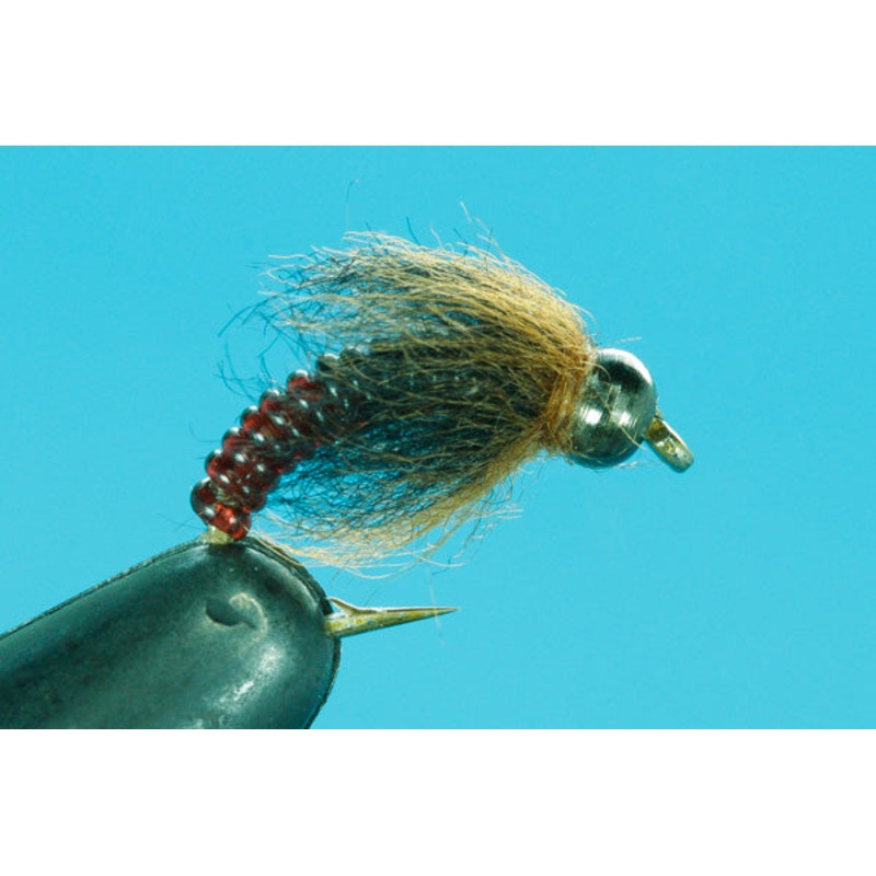 Euro Caddis|10