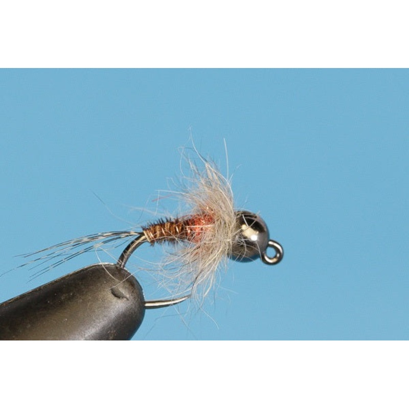 Euro Hot Spot Orange – Tungsten