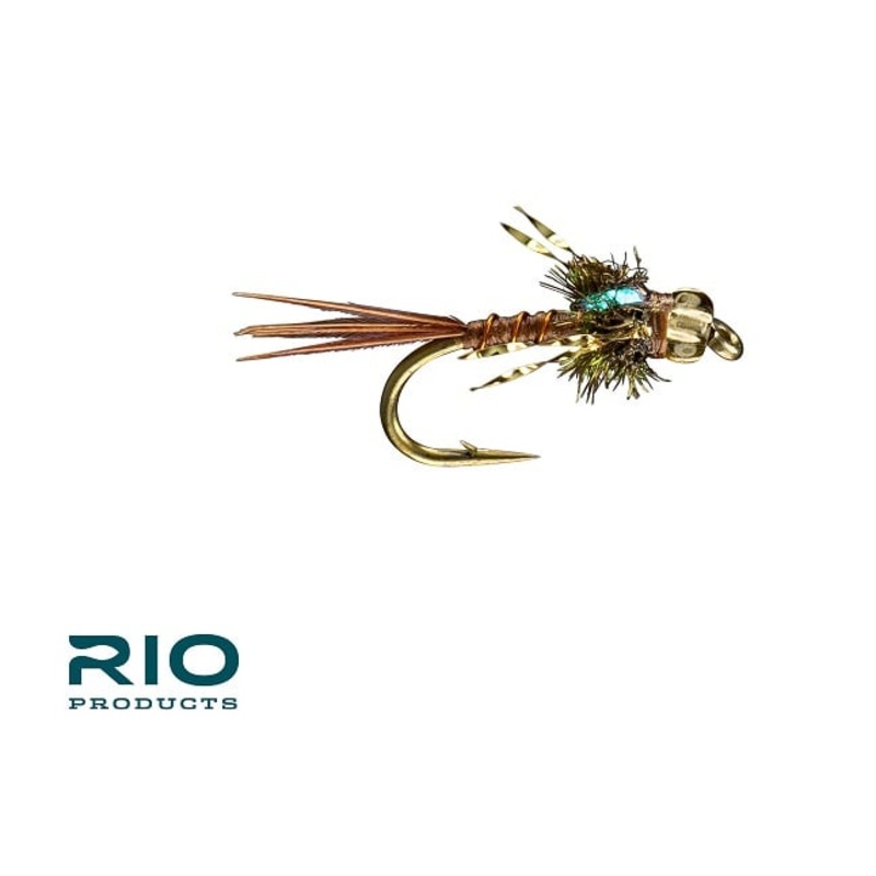 Golden Child – RIO|14|16
