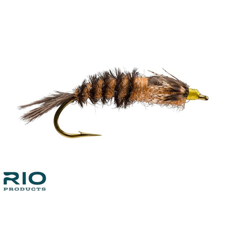 Hexagenia Nymph – RIO|6