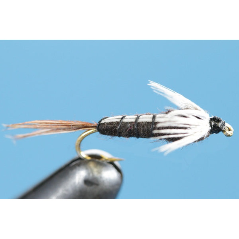 Isonychia Drake Nymph|10|12