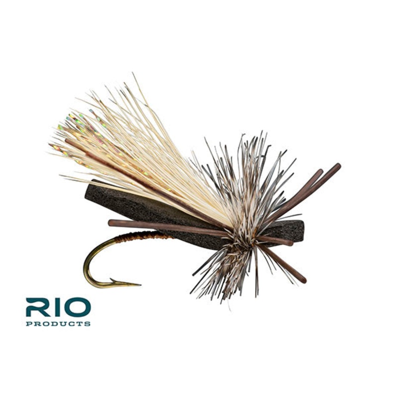 Ninja Cicada – RIO|10