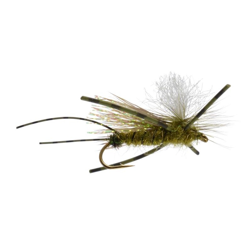 Skwala – Rainy’s|10|12