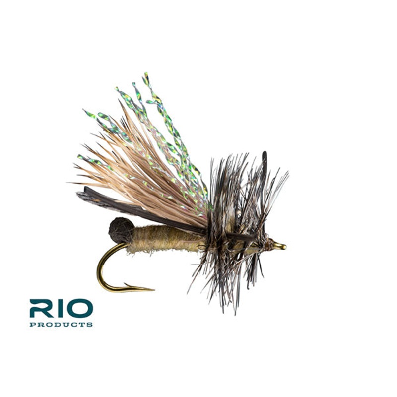 Skwala – RIO|10
