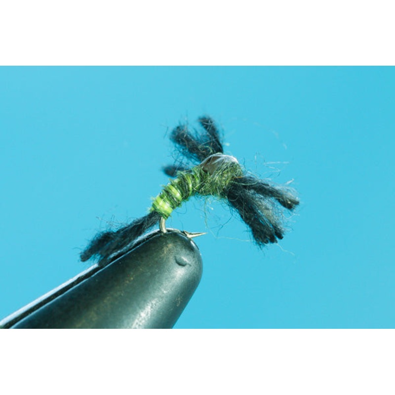 Slam Dunk BWO|16|18|20|22