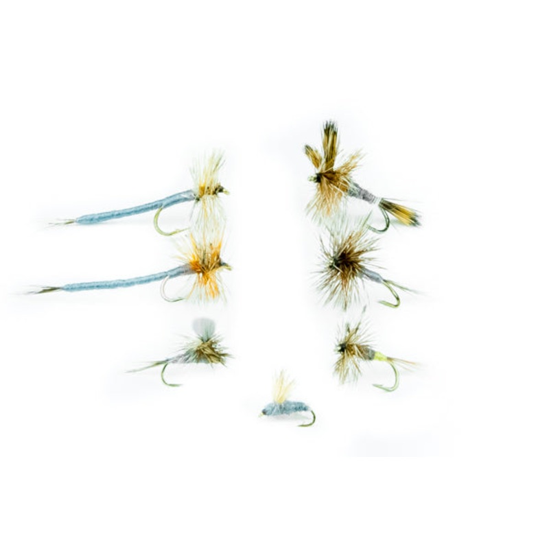 Adams Fly Assortment–24 Flies #1