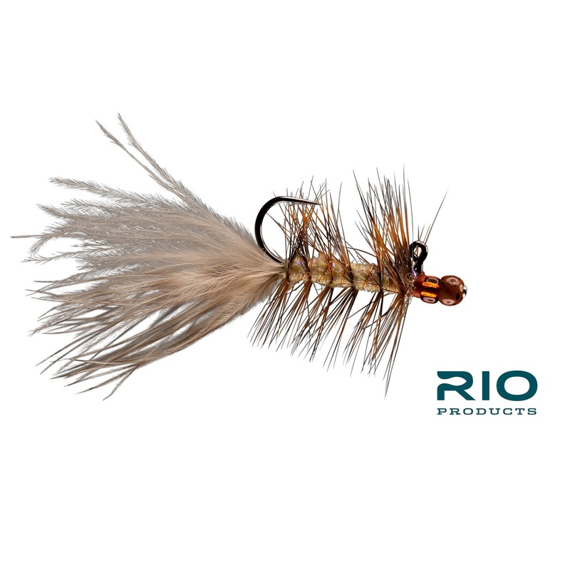 Blonde Balanced Leech – RIO