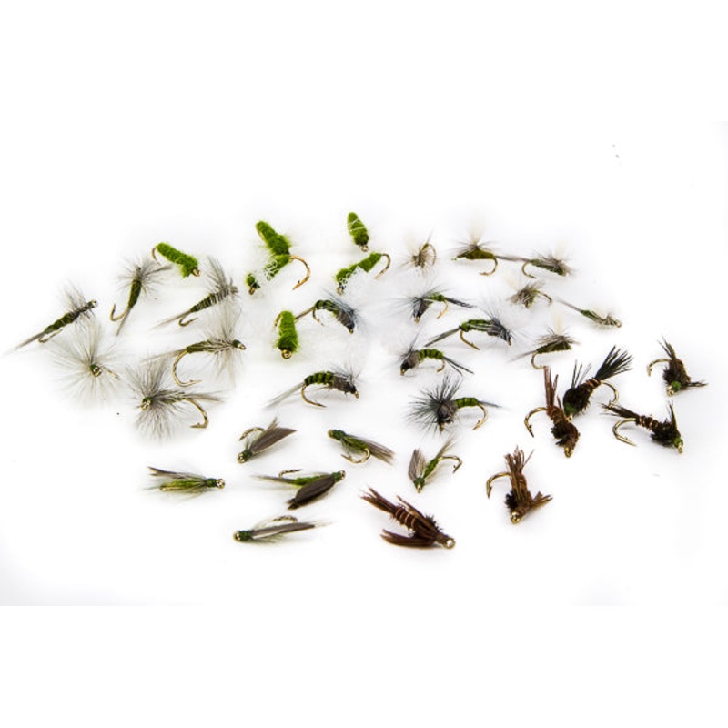 Blue Wing Olive Assortment–36 Flies #6