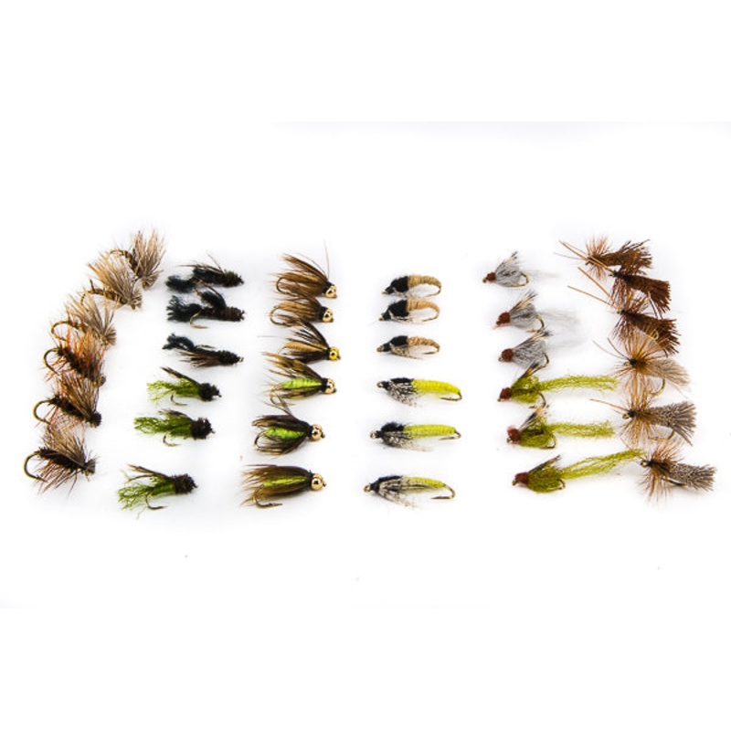 Caddis Life Cycle–36 Flies #14
