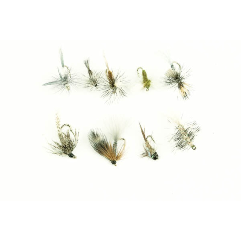 Callibaetis Assortment–36 Flies #12