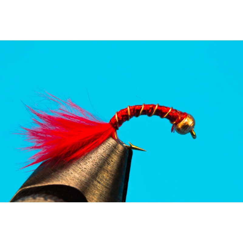 Holo Worm-Beadhead|12|14|18