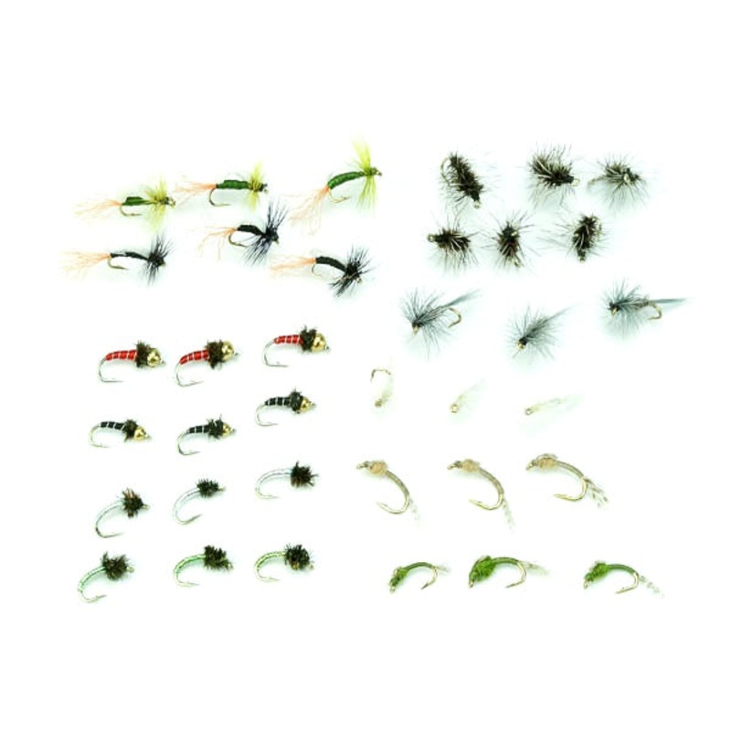 Midge Life Cycle Assortment #36