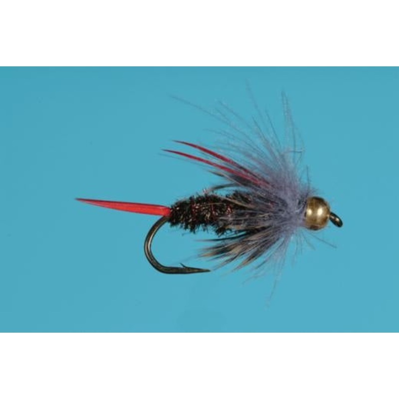 Princess Nymph Tungsten – Solitude