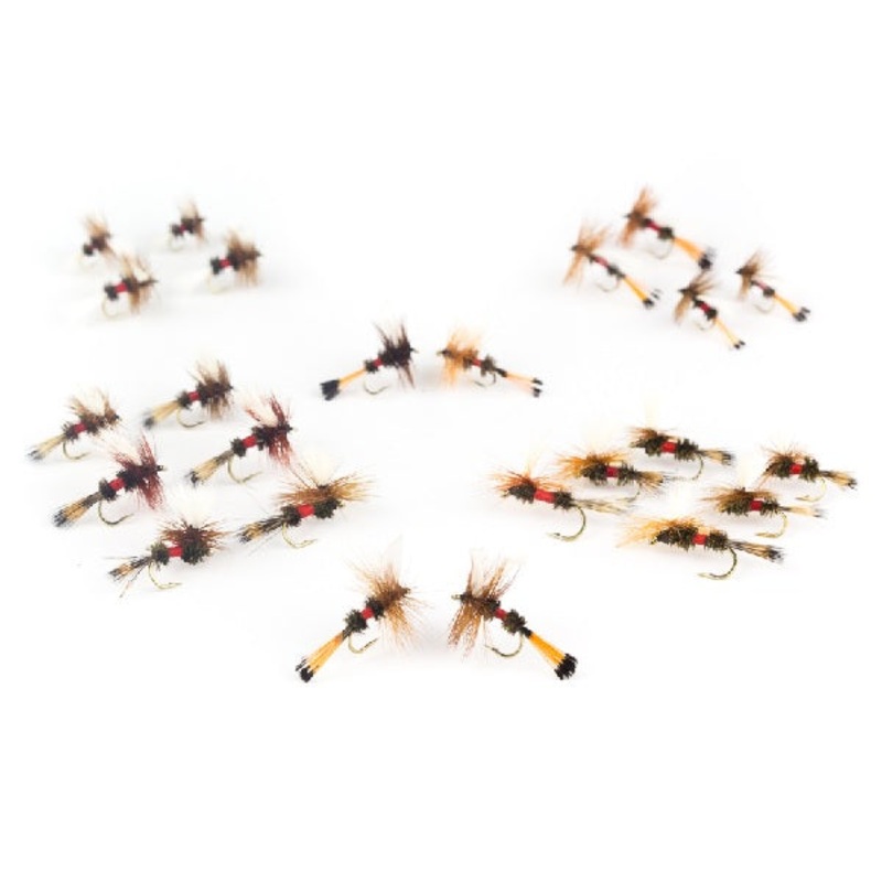 Royal Family Assortment–24 flies #40