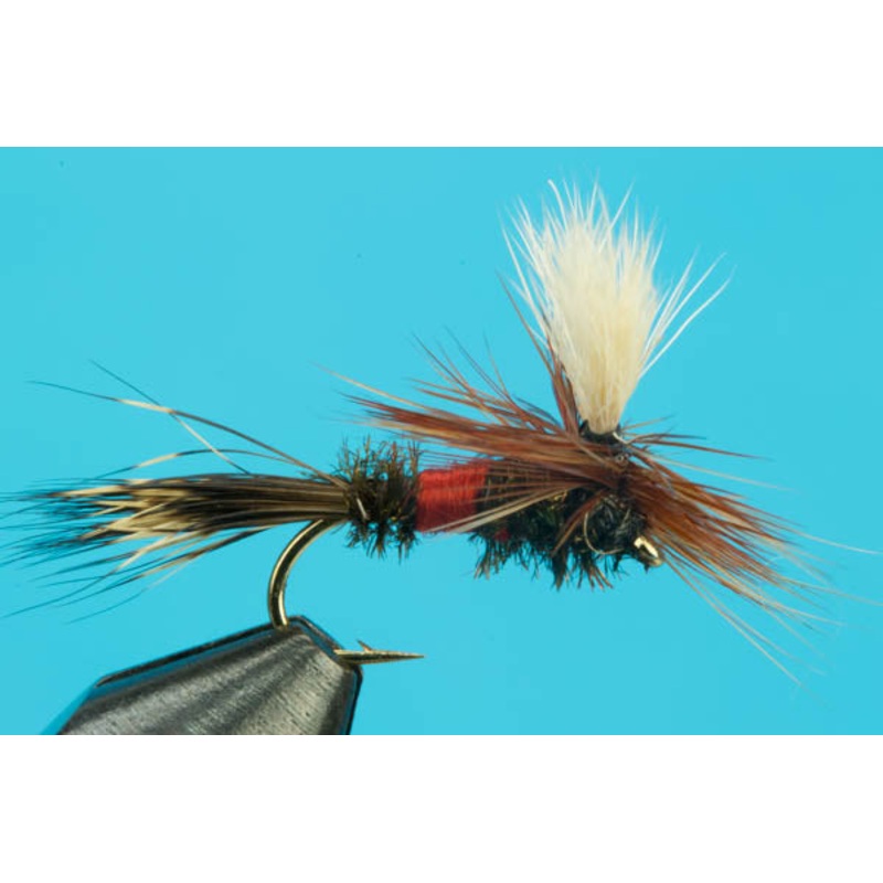 Royal Para Wulff|10|12|14|16