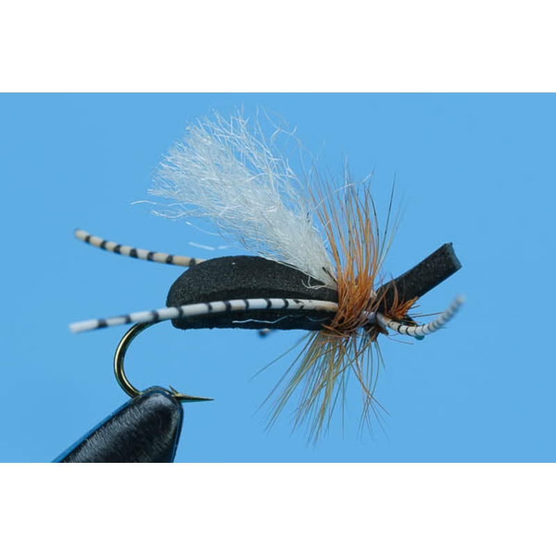 San Juan River Ant|10