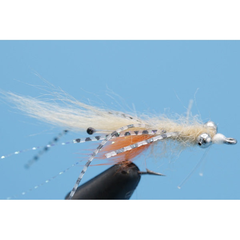 Spawning Mantis –Shallow|2|4|6