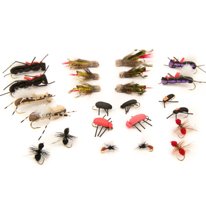 Terrestrials Assortment–24 Flies #54