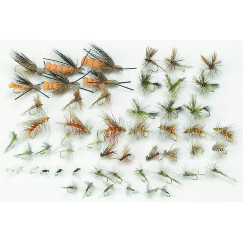 Western Dry Fly Assortment–54 Flies #57