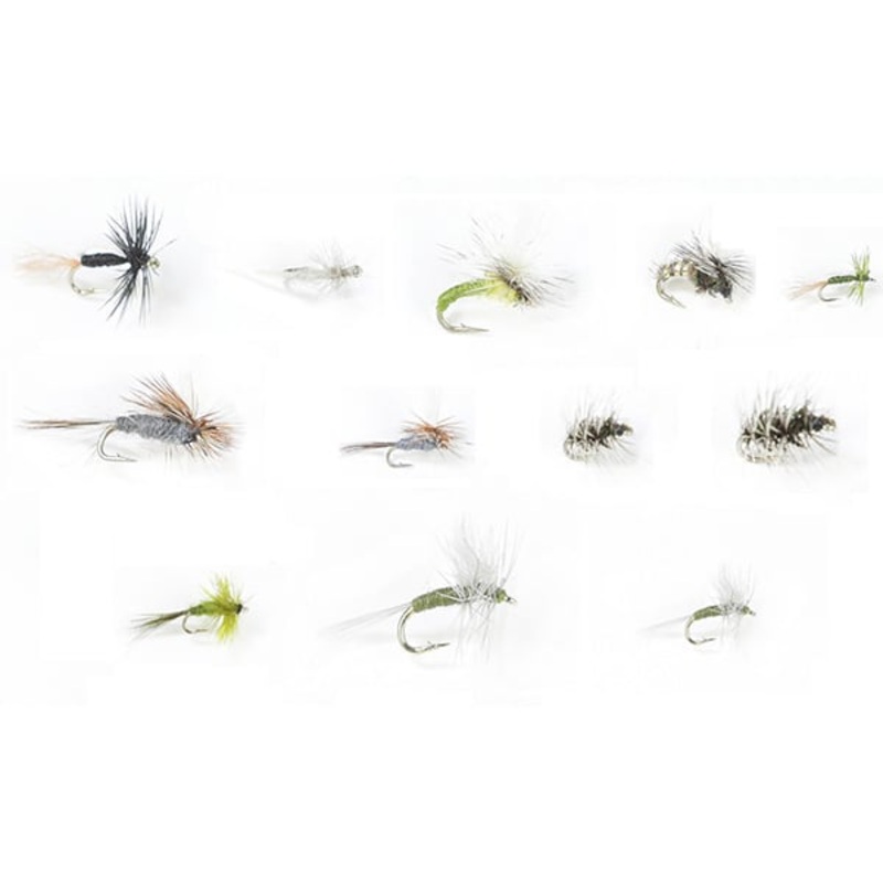 Winter Trout Dries Assortment–24 Flies #60