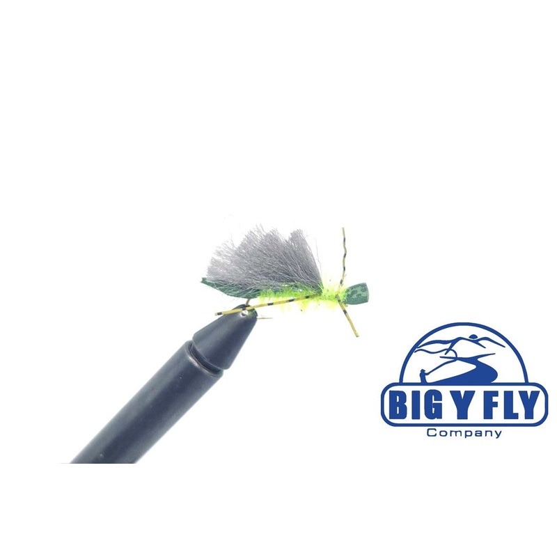 Adult Stillwater Caddis|8|10