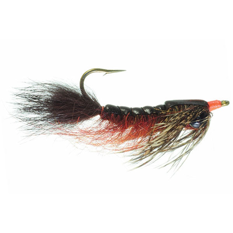 Barry’s Carp Fly- Umpqua|6
