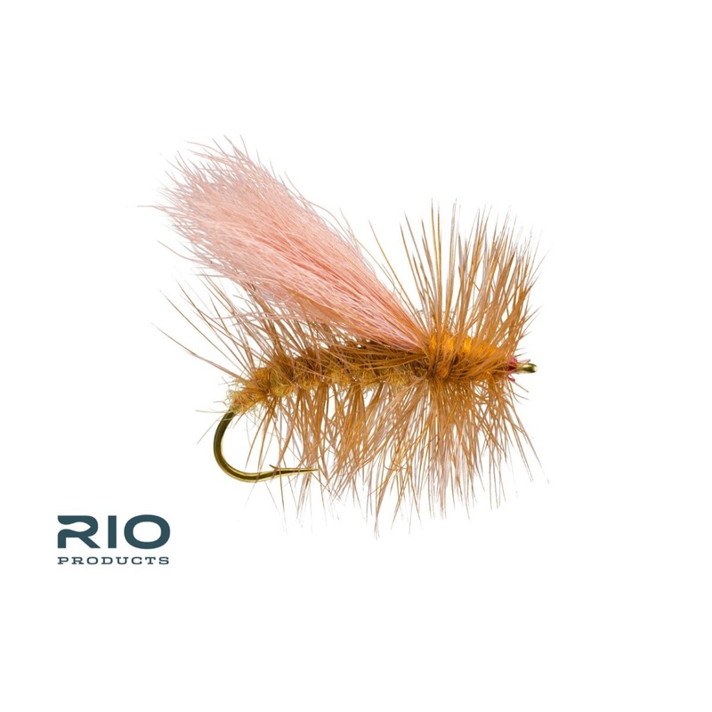 Norm Woods Special – RIO|6|8|10