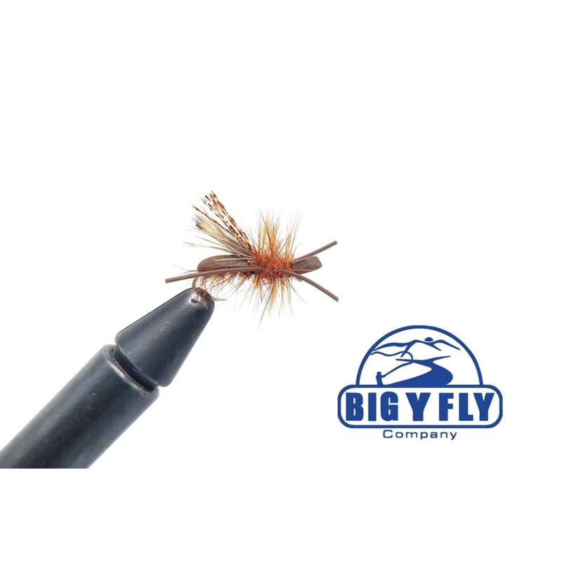 October Foamback – By Cade Cummings