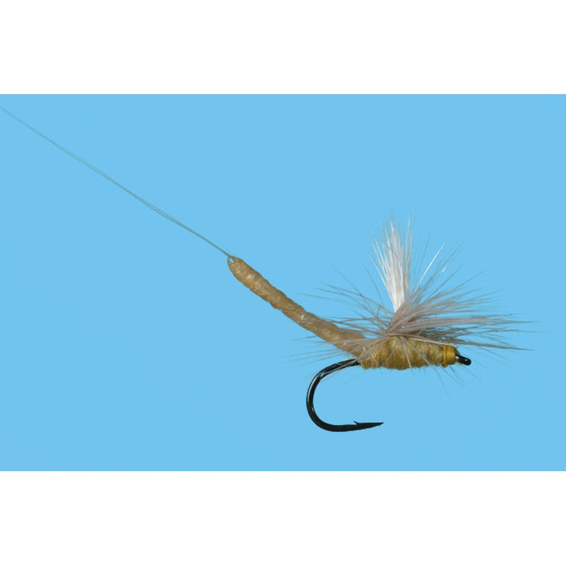 Parachute Extended Body BWO – Solitude