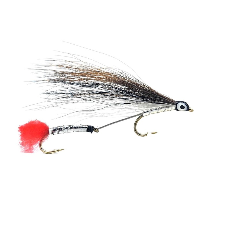 Tandem Black Nose Dace|4